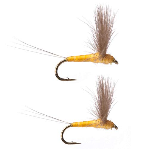 The TOP 15 Best Dry Flies for Catching More Trout