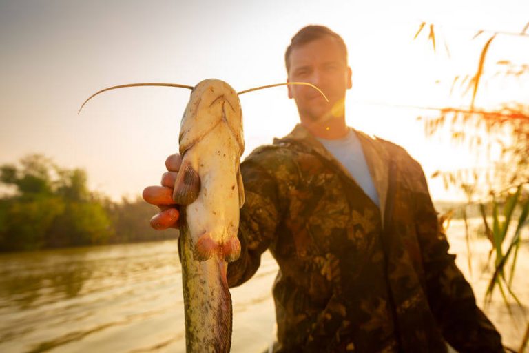 Do Catfish Bite And When do Catfish Start Biting?