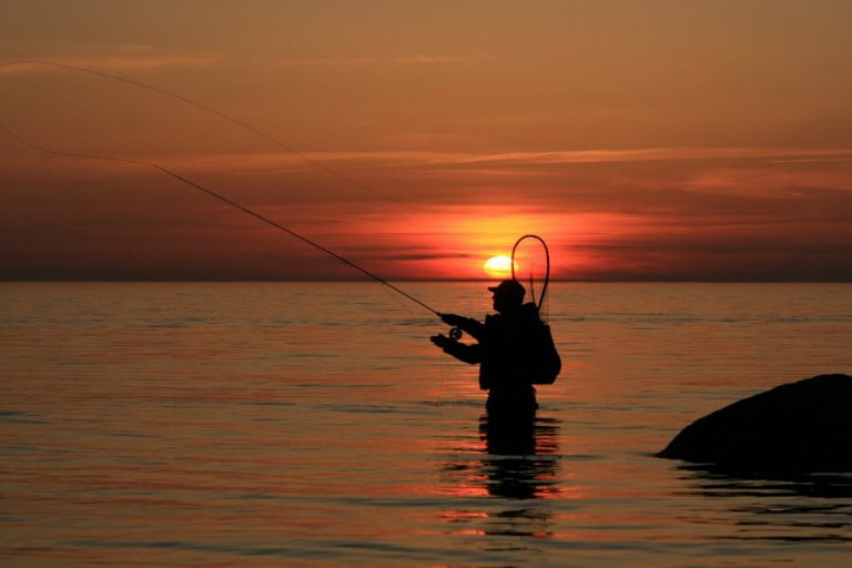 What is the Best Tide For Fishing? (Best Times to Fish)