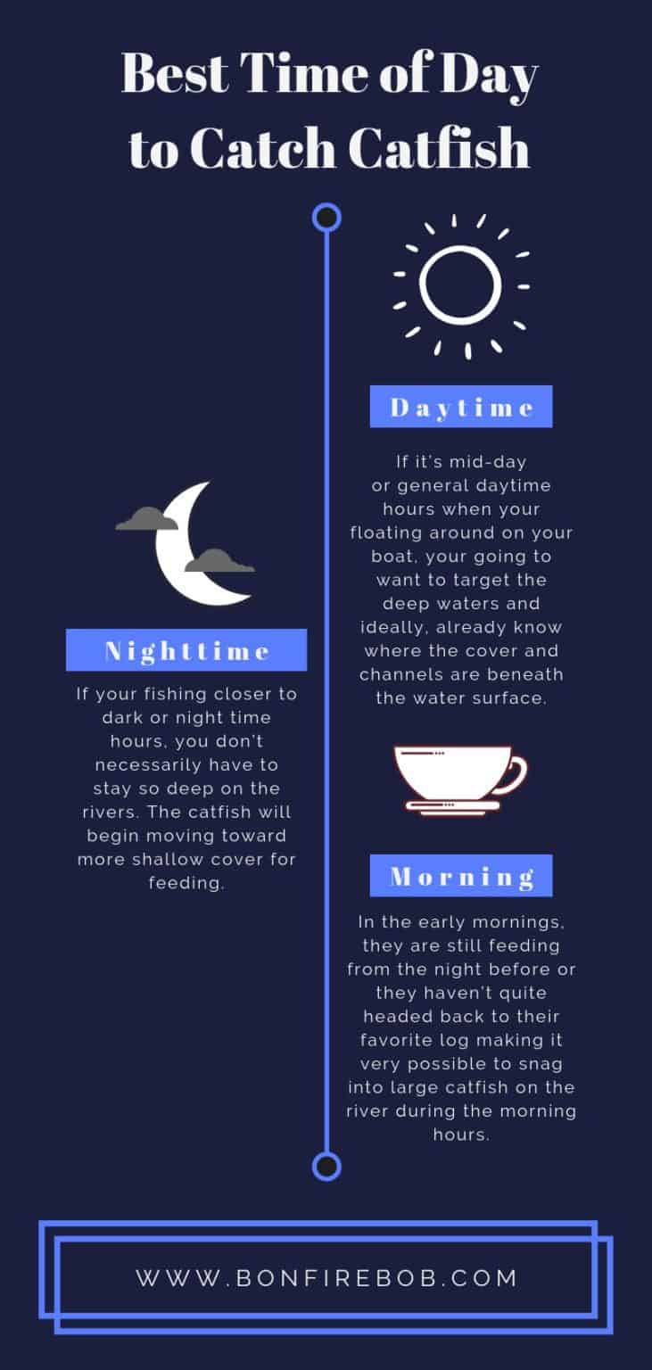 Best Time to Catch Catfish in Rivers Full Guide