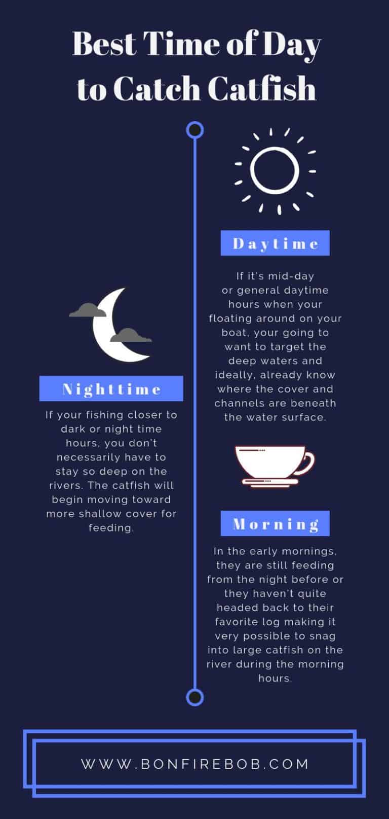 Best Time to Catch Catfish in Rivers Full Guide