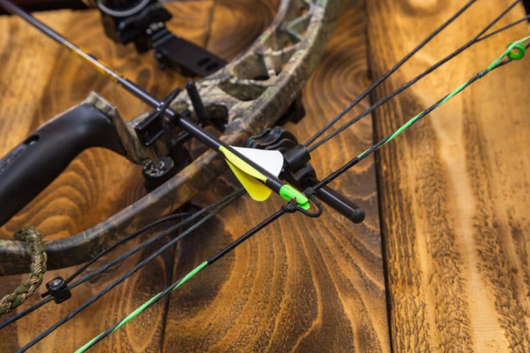 TOP 11 Best Bowfishing Bows in 2024 (Stick the Fish!)