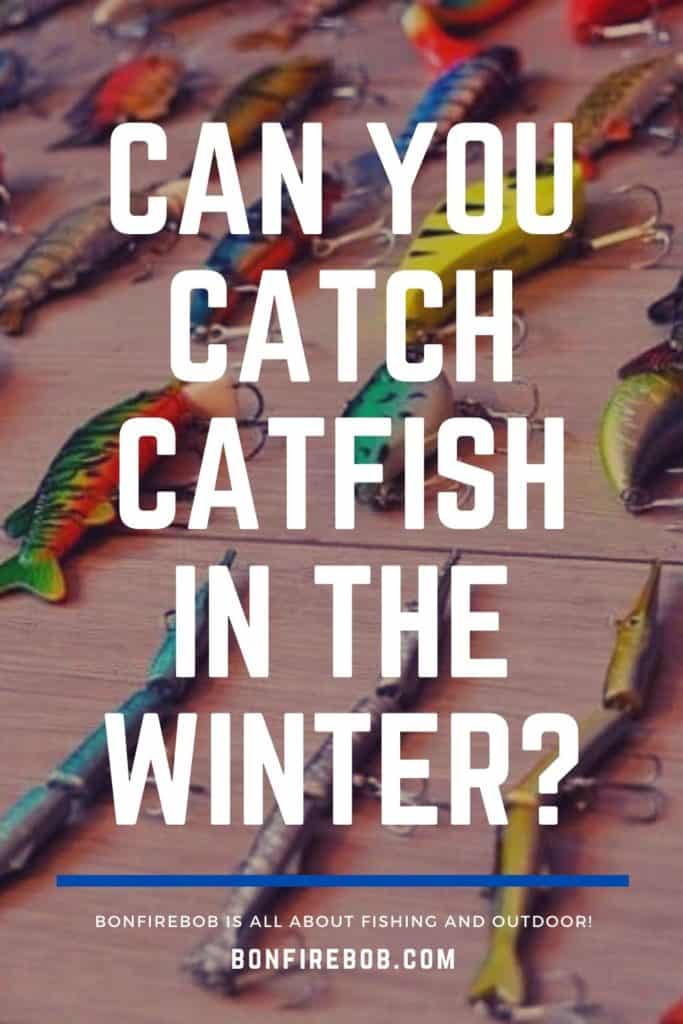 Can You Catch Catfish in The Winter? Here's What You Need to Know