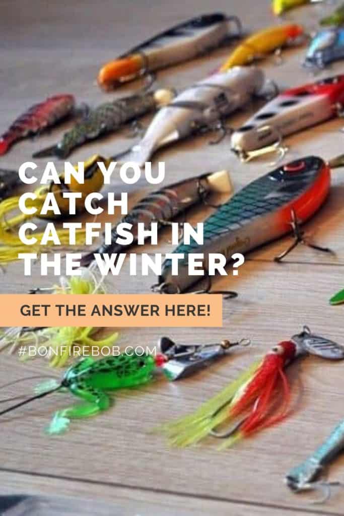 Can You Catch Catfish in The Winter? Here's What You Need to Know