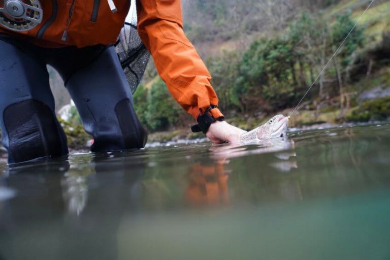 When do Rainbow Trout Spawn? (StatebyState Calendar)