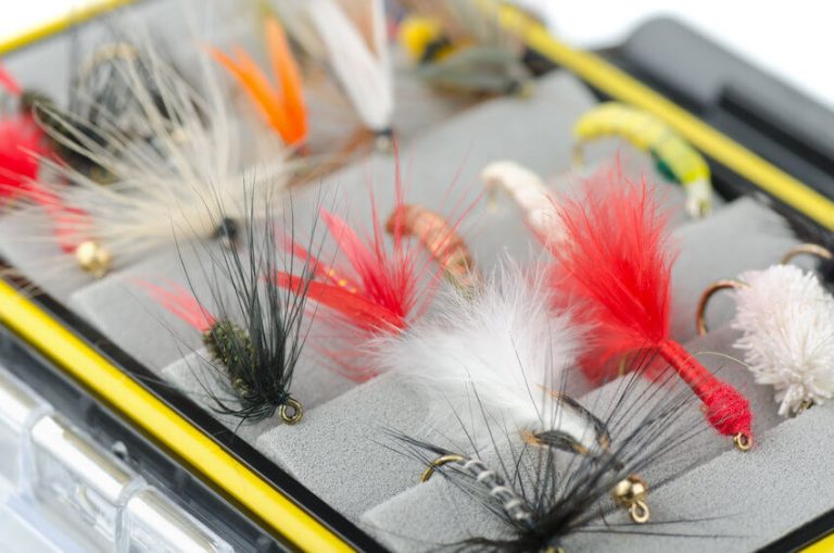 Types of Fly Fishing Flies (5 Main Types Explained)