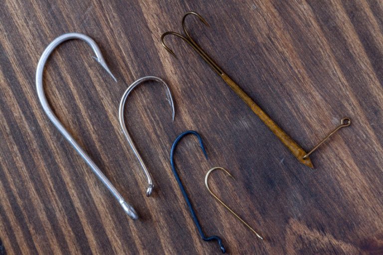 Barbed vs Barbless Hooks Which One Should You Use & Why?