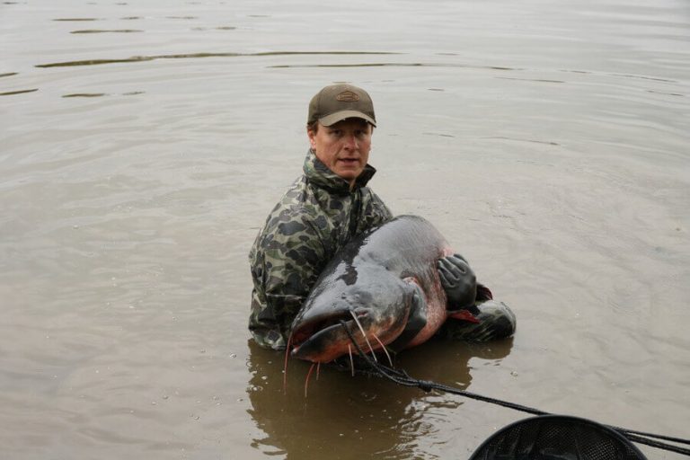 Do Catfish Bite And When do Catfish Start Biting?