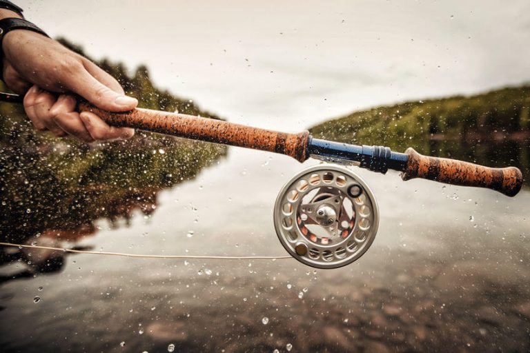 The 7 Best Budget Fly Reels 2024 under 30, 50 & 100