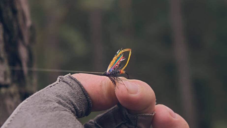 TOP 9 Best Fly Fishing Brands & Gear Companies in 2025