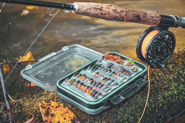 The 7 Best 3 Weight Fly Rods for 2024 Guide)
