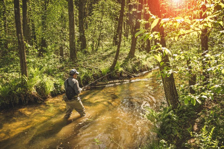 Fly Rod Weights Explained Guide & Weight Chart)