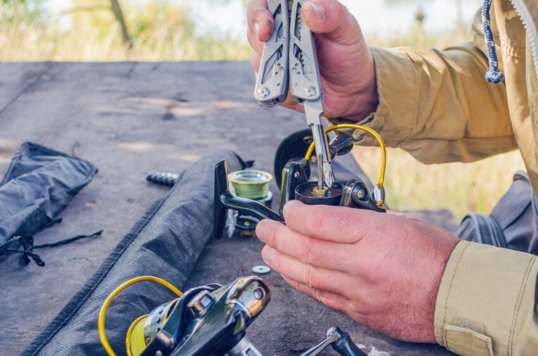 Spinning Reel Maintenance (StepbyStep Guide & Tips)
