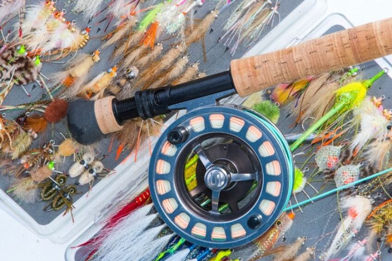 The 8 Best Saltwater Fly Lines for 2024 (The Ultimate Guide)