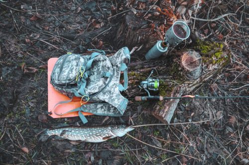 Best Northern Pike Lures - The Secret to Successful Fishing
