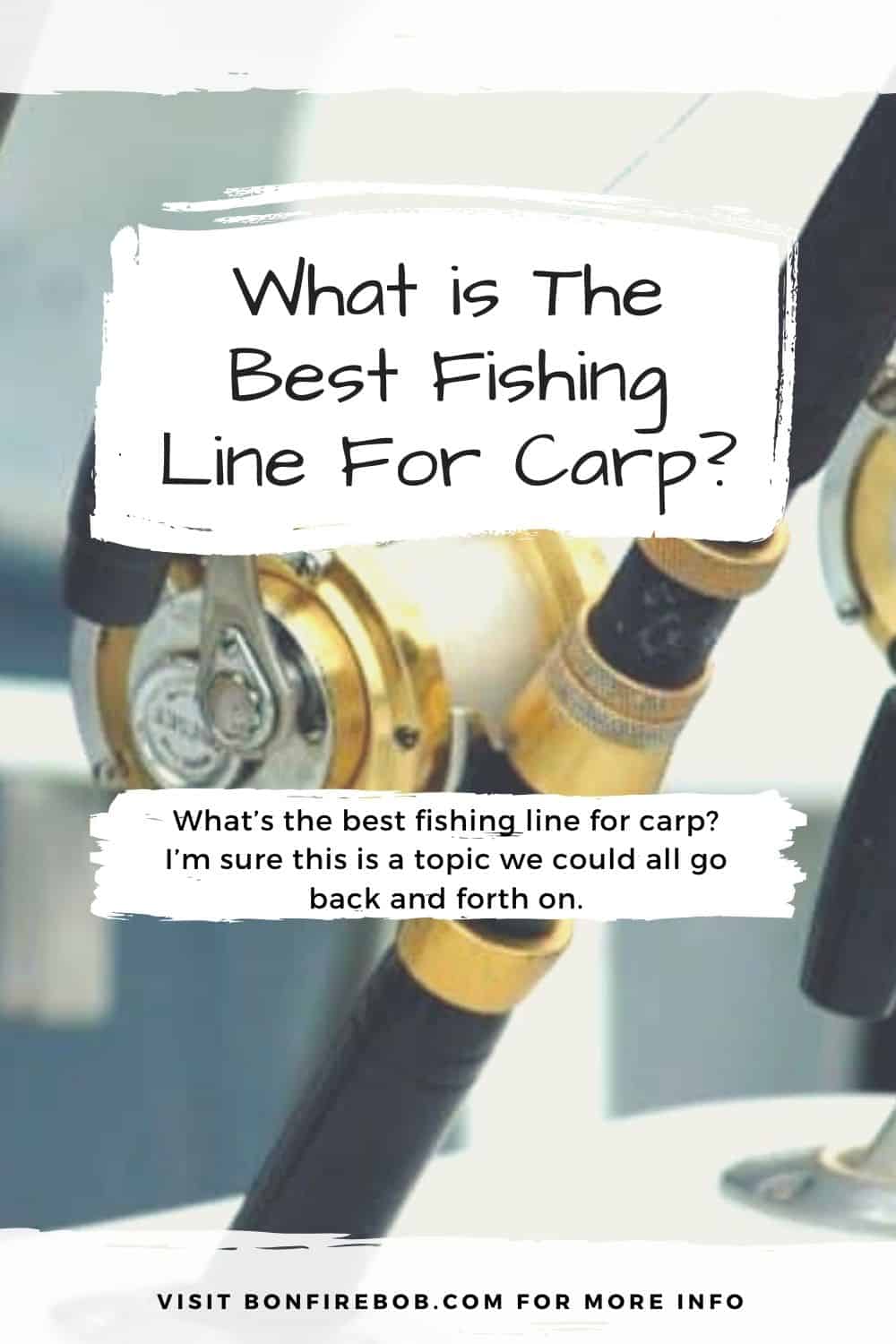 What is The Best Fishing Line For Carp? Full Guide For You