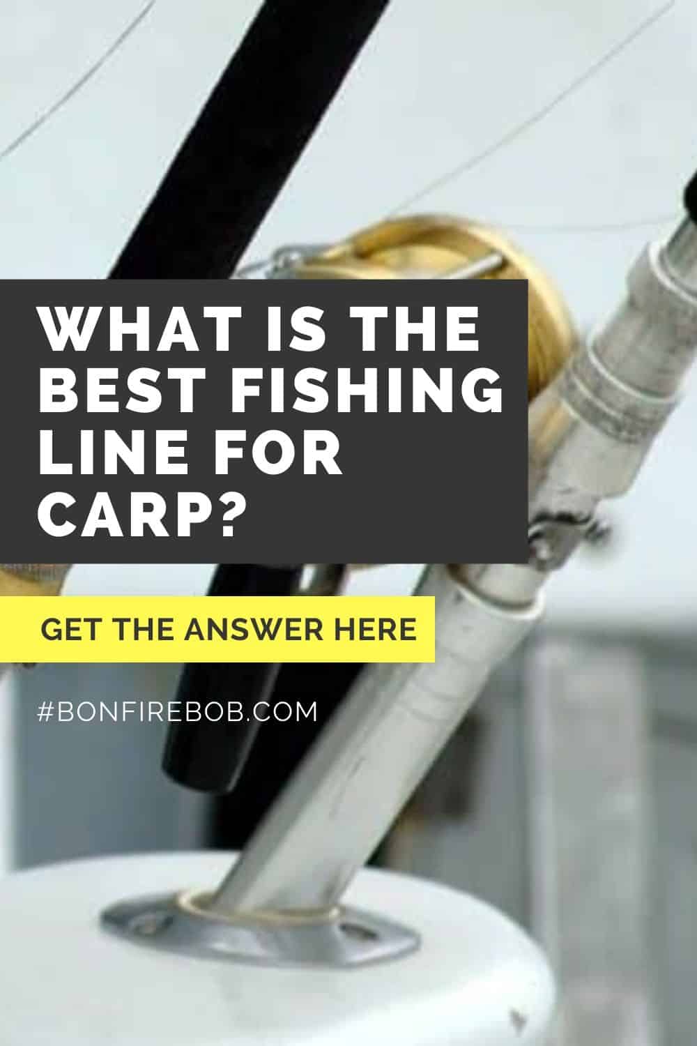 What is The Best Fishing Line For Carp? Full Guide For You