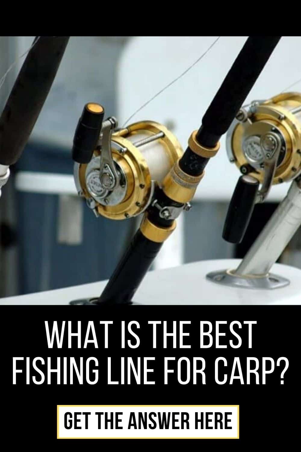 What is The Best Fishing Line For Carp? Full Guide For You